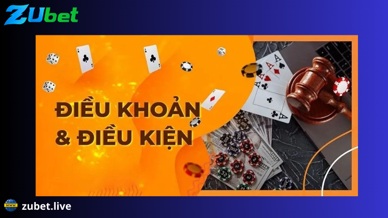 Điều khoản điều kiện trong đăng ký Zubet