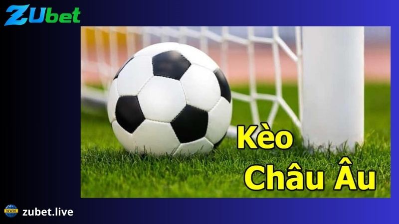 giới thiệu kèo châu Âu tại zubet