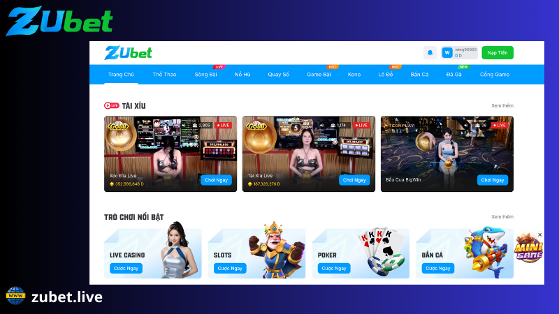giới thiệu zubet có sảnh cá cược hấp dẫn