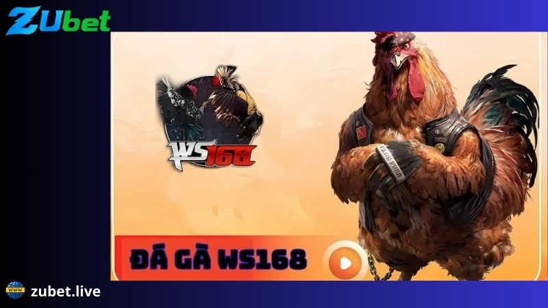 tổng quan sảnh đá gà ws168